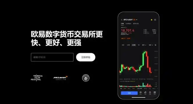 欧币交易所平台展示图